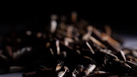Many of extinguished cigarette butts of varying brands rack focus Stock Footage 88131043