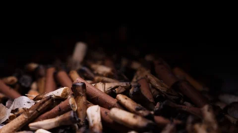 Many of extinguished cigarette butts of varying brands rack focus Stock Footage 88131126