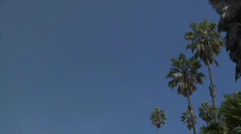 Many Fast Planes Stock Footage 283393