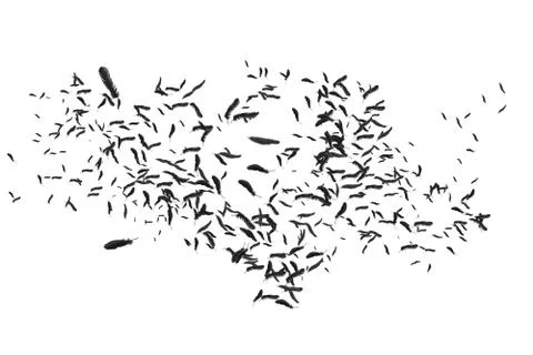 Many feathers blowing in the breeze Stock Illustration