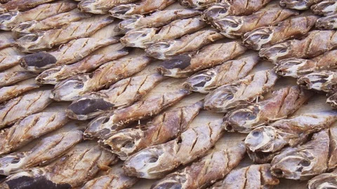 Many Fish Drying under the Sun in Sri Lanka Stock-Footage 87892431