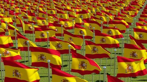 Many flags of Spain in green field. Stock Illustration