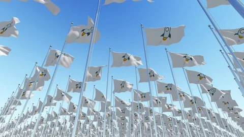 Many flags with Stellar crypto currency rocket signs against blue sky. Stock Footage 85896277
