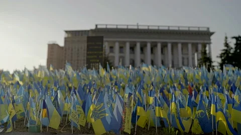 Many flags of Ukraine were installed on the main street of Ukrainian 2022 Stock Footage 205541337