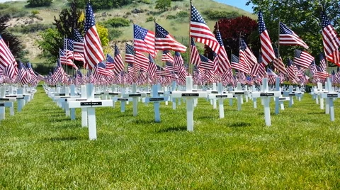 Many flags wave for veterans in cemetery Stock Footage 61521588