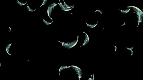 Many Floating Feathers Soft Falling down. Video stock 336859572