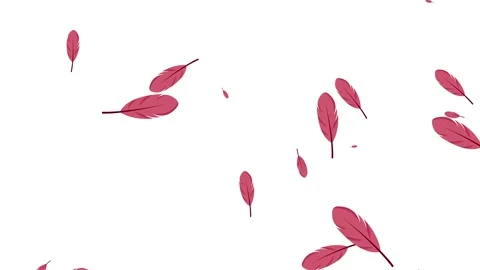 Many Floating Feathers Soft Falling down. 库存影片 336859576