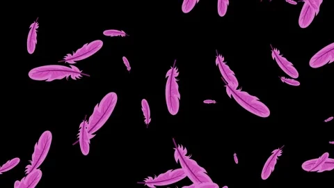Many Floating Feathers Soft Falling down. 動画素材 336859586