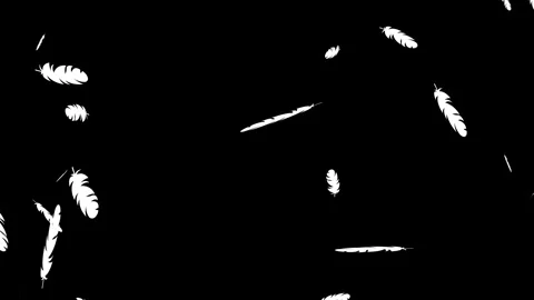Many Floating Feathers Soft Falling down. Vídeo Stock 336859588