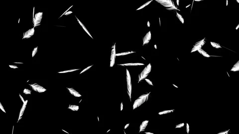 Many Floating Feathers Soft Falling down. Stock-Footage 336859590