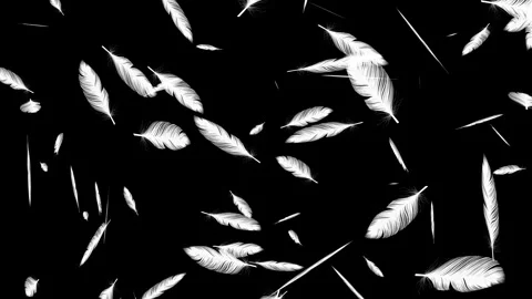 Many Floating Feathers Soft Falling down. Stockbeeldmateriaal 336859596