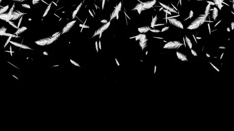 Many Floating Feathers Soft Falling Motion Graphics. Gentle White Feathers. 库存影片 340960219