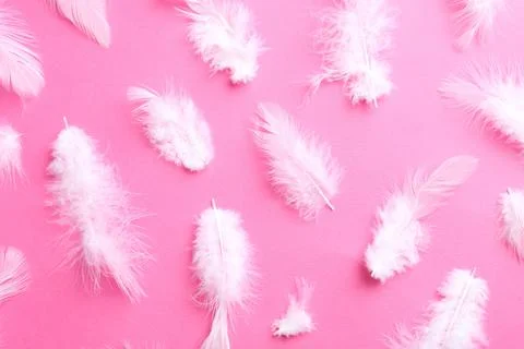 Many fluffy feathers on pink background, flat lay Stock Photos
