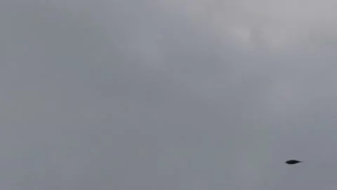 Many flying barn swallows (20) grey sky before sunrise - 4 separate video clips Stock Footage 139377670