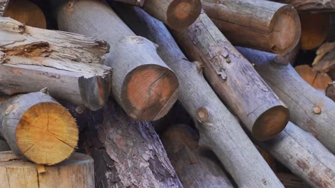 Many folded tree logs laying in huge stack outdoors Stock Footage 151081218