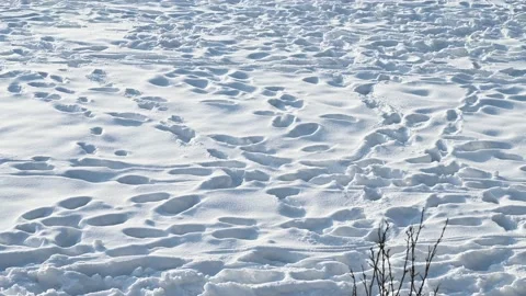 Many footprints in the snow. Stock Footage 231817949