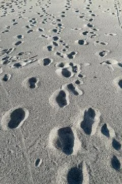 Many footsteps on a sandy beach Stock Photos