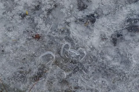 Many forms in a layer of ice Stock Photos