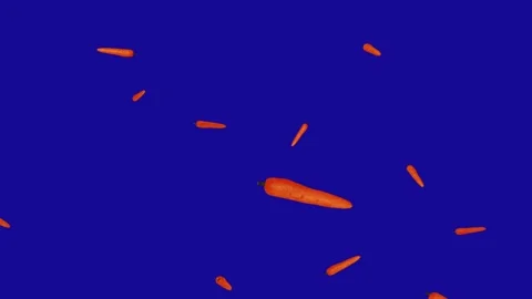 Many of Fresh Carrot falling down from the top on blue screen background Stock Footage 322790356