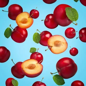 Many fresh cherry plums falling on light blue background Stock Illustration