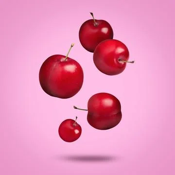 Many fresh cherry plums falling on pink background Stock Illustration
