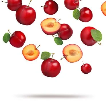 Many fresh cherry plums falling on white background Stock Illustration