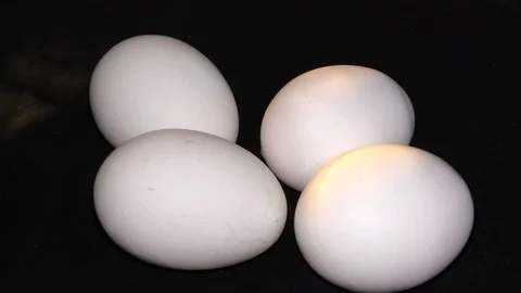 Many fresh eggs doing rounds and rotating with light Stock Footage 111274865