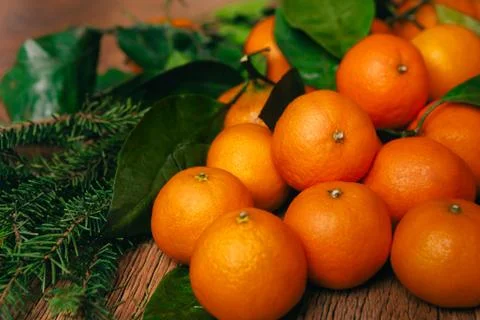 Many fresh mandarins and branches of  Christmas tree on a wooden background Stock Photos