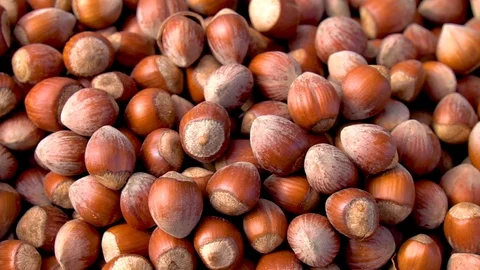 Many fresh nuts. Human hand mixing hazelnuts Vidéo 106020722