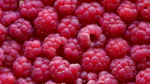 Many fresh red raspberries circle rotation close up top view Stock Footage 261082060