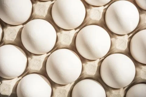Many fresh white eggs in egg carton Stock Photos