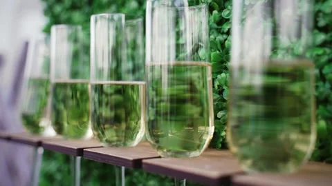 Many glasses of champagne Stock Footage 147753165