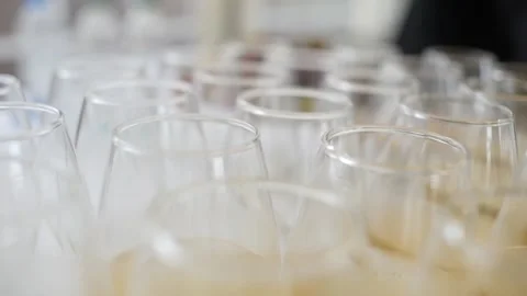 Many glasses of champagne Video stock 194967515