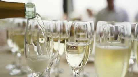 Many glasses of wine Stock Footage 147753204