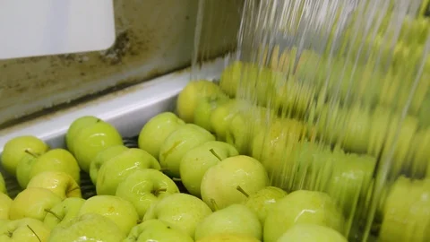 Many green apples Stock Footage 124079048