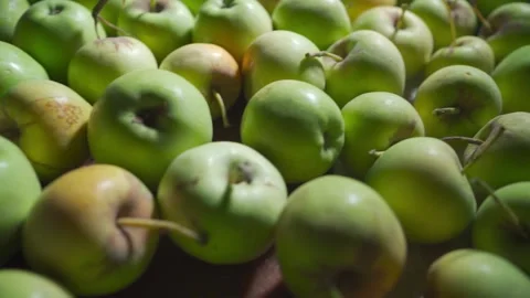 Many green apples on the table Stock Footage 160386338