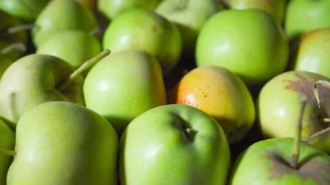 Many green apples on the table Stock Footage 160504303