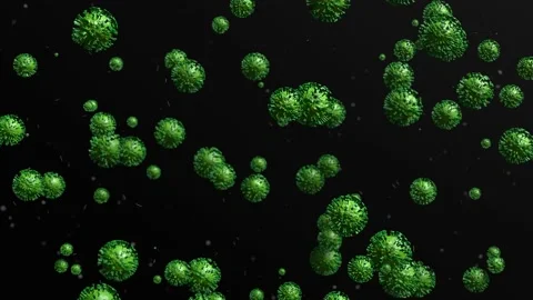 Many green coronavirus particles flows on black background 4K 3D animation Stock Footage 196081972