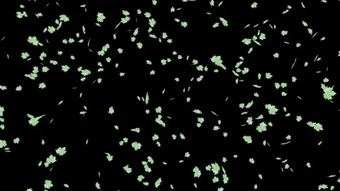 Many green leaves endlessly fall from the tree. Stock Footage 123427137