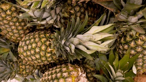 Many green pineapples closeup rotating on a 4K background in store for buyer. Stock Footage 116785247
