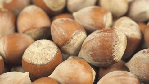 Many hazelnut nuts Stock Footage 104247703
