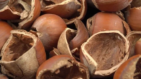 Many hazelnut shells top view Video stock 221936946