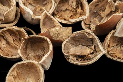 Many hazelnut shells top view Fotos de archivo