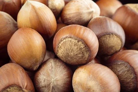 A many hazelnuts extreme macro Stock Photos