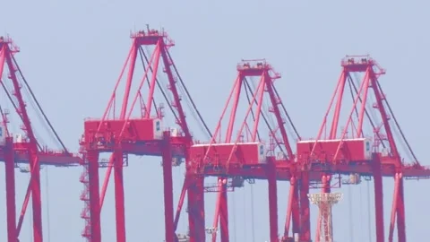 Many Huge Cranes Working At A Construction Site. Stock Footage 171665550