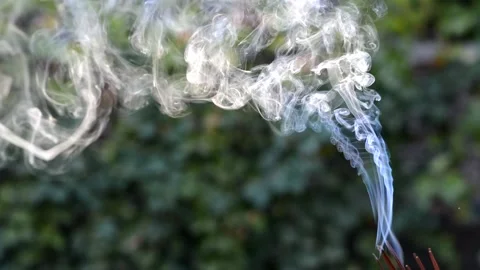Many incense sticks are lit for meditation and Buddhist rituals. Stock Footage 160465181