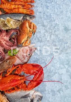 Many kind of seafood, served on crushed ice Stock Photos