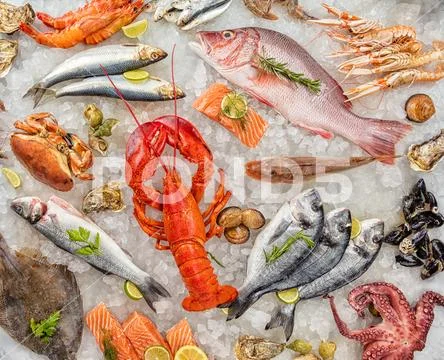 Many kind of seafood, served on crushed ice Stock Photos