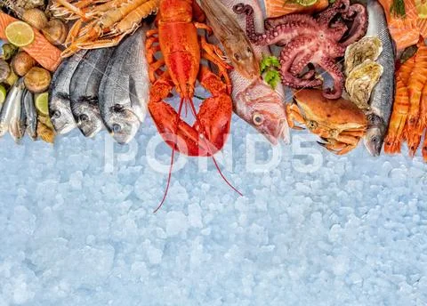 Many kind of seafood, served on crushed ice Stock Photos