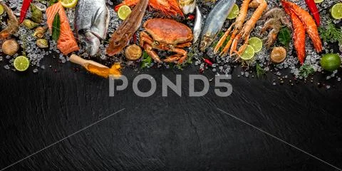 Many kind of seafood, served on crushed ice Stock Photos